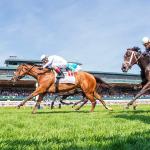 ABR Sunday Selections: Full-Card Picks for April 12 at Keeneland